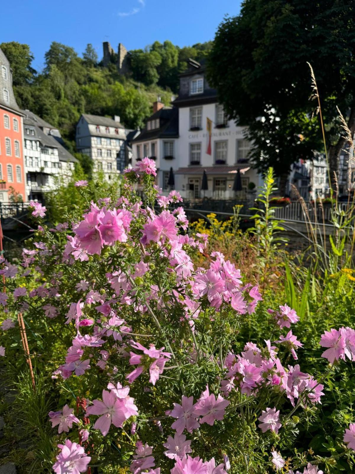 Fewo In Montjoie Extérieur photo
